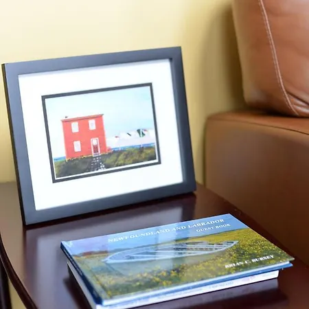 Bambury'S Hillside Chalets Rocky Harbour Extérieur photo